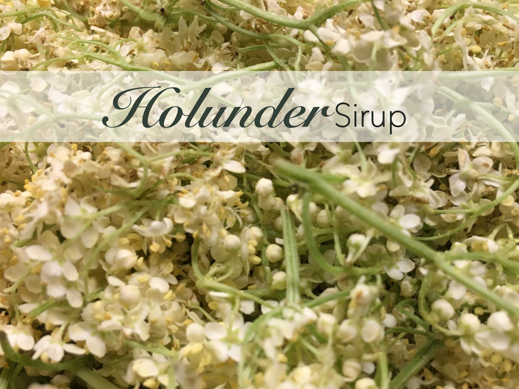 Holunder Holundersirup Rezept DIY Holler Elderflower